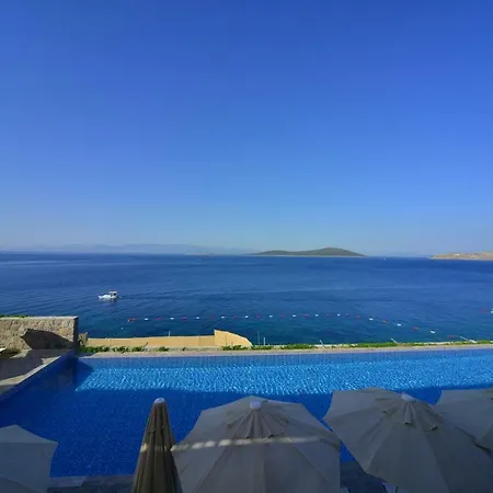 Bvs Bosphorus &