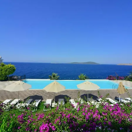 Complex Bvs Bosphorus & Gündoğan