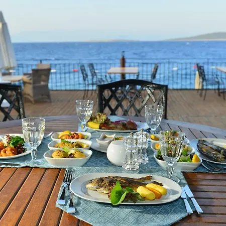 Bvs Bosphorus & Complex Gündoğan
