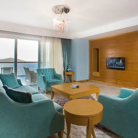 Complex Bvs Bosphorus &