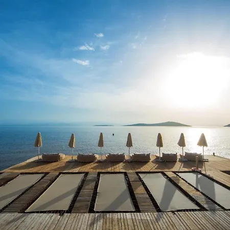 Bvs Bosphorus &