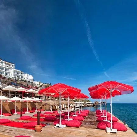 Bvs Bosphorus &