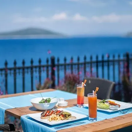 Bvs Bosphorus & 4*