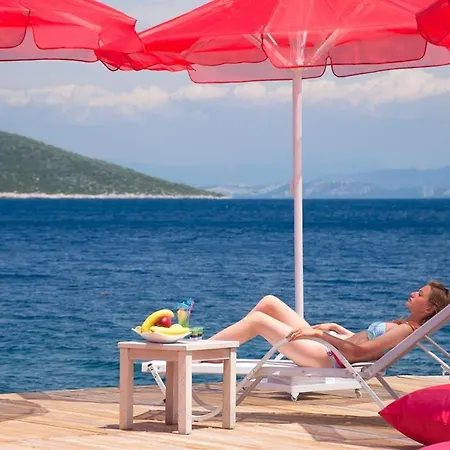 Bvs Bosphorus &