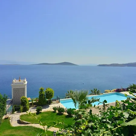 Bvs Bosphorus & 京多安